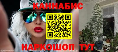 крисы Коммунар